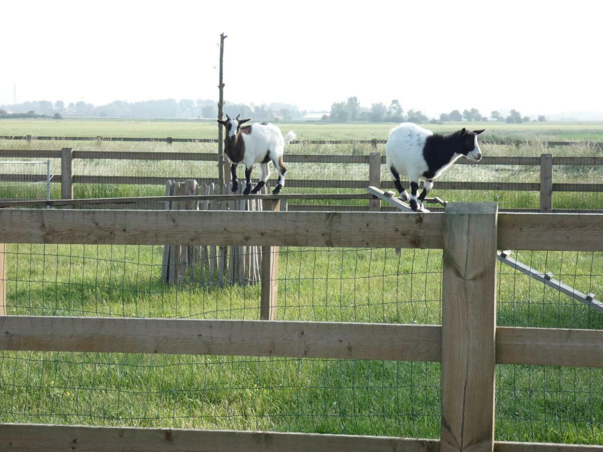 Vakantiehoeve 'T Goed Ter Leeuwen De Haan Exteriör bild